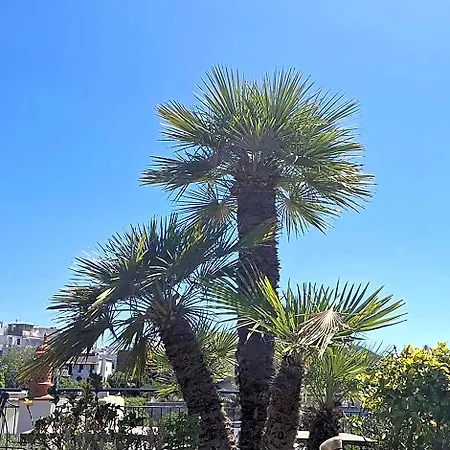Hotel Villa Verde 3* Forio di Ischia