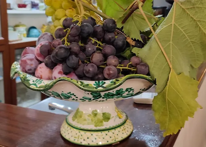 Hotel Villa Verde 3*