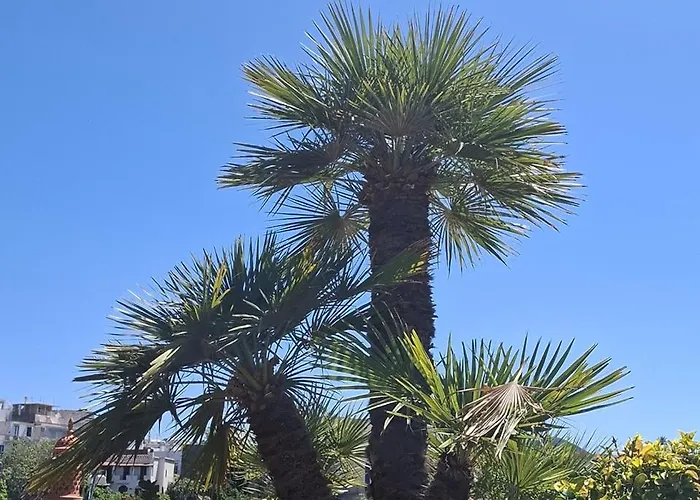 Hotel Villa Verde 3*