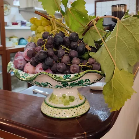 Hotel Villa Verde 3*