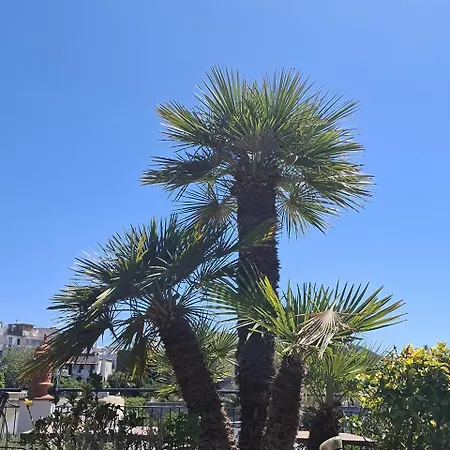 Hotel Villa Verde 3*